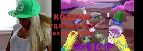 2c-b Заводоуковск
