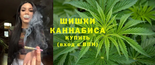2c-b Заводоуковск