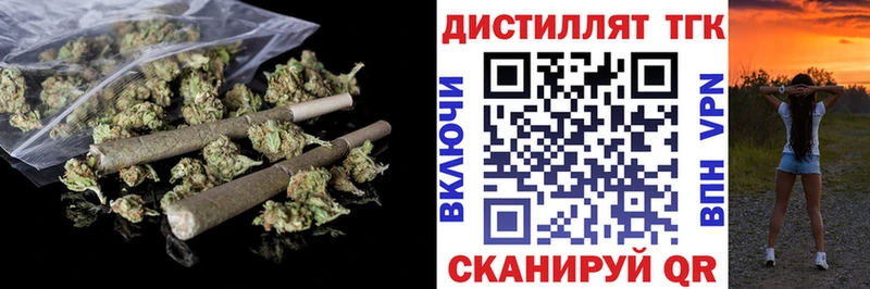 Купить где  Минеральные Воды  ТГК концентрат 