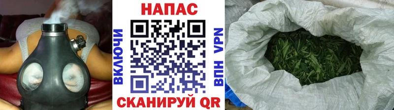 Бошки Шишки MAZAR  Купить где  Минеральные Воды 
